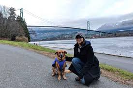 dog friendly vancouver in december