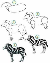 Learn how to draw and improve your skill in no time with the help of an online coach. How To Draw Zoo Animals Easily Zebra Drawing Zebra Art Wild Animals Drawing