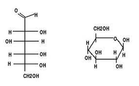 general structure of carbohydrates
