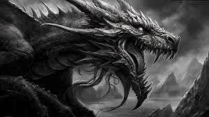 dark dragon wallpapers on black and