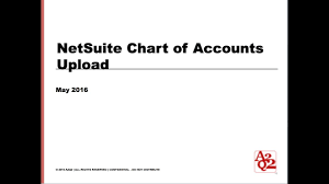 Netsuite Chart Of Accounts Upload