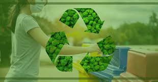 eco friendly in saudi arabia