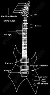 The guitar can be largely divided into the neck portion and the body portion. Guitar Diagram Parts Of The Guitar Guitar Metal