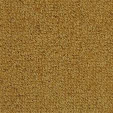 highland carina by masland carpets