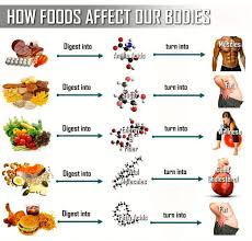 How Does Healthy Eating Affect Your Body Health Nutrition