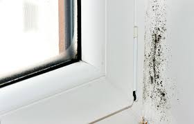 Waterproofing Window Wells Everdry