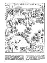 A pond is a body of standing water, either natural or artificial, that is usually smaller than a lake. Pin On Coloring Pages
