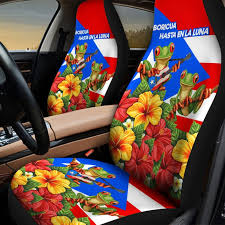 Coqui Puerto Rico Car Seat Cover
