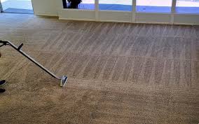 carpet cleaning northridge jp carpet