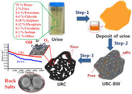 highly porous carbon from human urine