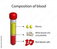 blood composition platelets red blood