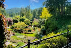 butchart gardens a locals guide to