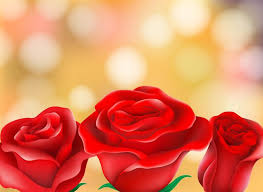 beautiful roses blur background 299340