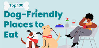top 100 dog friendly places to eat yelp