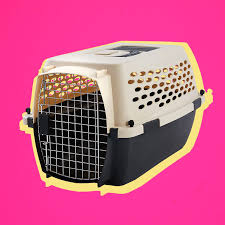 best cat carrier for your pet