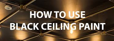 How To Use Black Ceiling Paint Guide