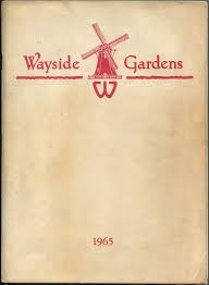 catalog wayside gardens 1965 very