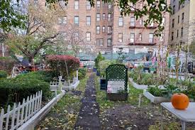 nyc community gardeners might have new