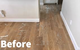 professional hard wood cleaning and how