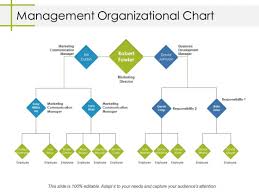 Management Organizational Chart Ppt Powerpoint Presentation