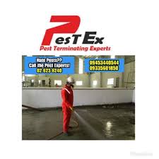 We're dothan's most experienced family owned pest control service. Pest Ex Pest Control Services Pasig Pasig