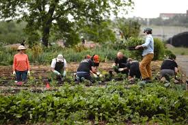 San Antonio Community Gardens