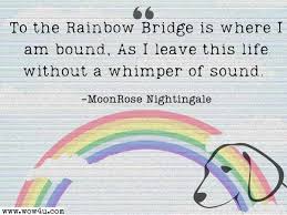 42 comforting rainbow bridge es for