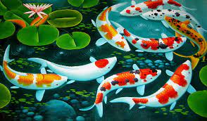 for pc animated koi fish hd wallpaper