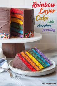 Chocolate Rainbow Cake Recipe gambar png