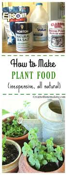 how to make homemade plant food