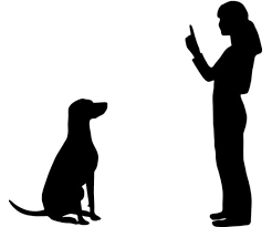 Essential Hand Signals For Dogs Popsugar Pets