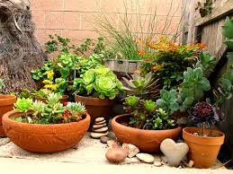 container gardening selecting the
