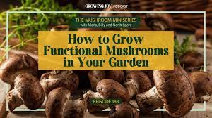 183 how to grow functional mushrooms in