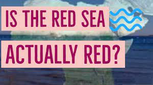why is the red sea called so you