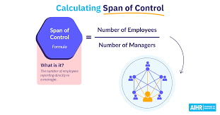 calculating span of control