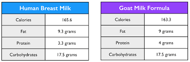 goat milk formula recipe easy to