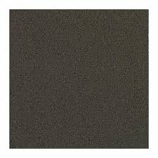 patcraft color choice ebony carpet