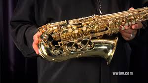 Eas 100 Student Alto Saxophone Lacquer