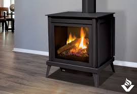 Free Standing Gas Stoves Gas Fireplace