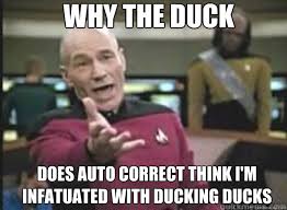 Why the duck does auto correct think i&#39;m infatuated with ducking ... via Relatably.com