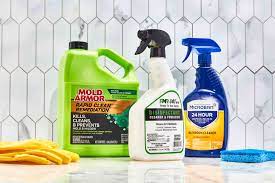 the 5 best mold removers of 2023