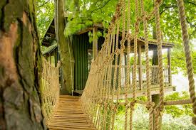 treehouses wales 14 best treehouse