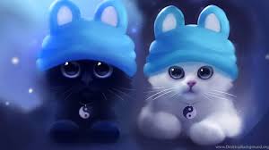 couple cat wallpapers top free couple
