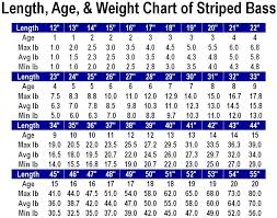 length age weight chart for striped