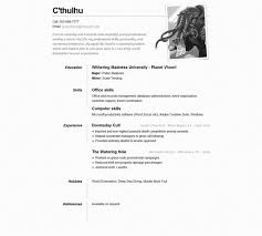 Professional Resume Layout Examples  Best Resume Template      Top            Glamorous Cv Format Example Examples Of Resumes    