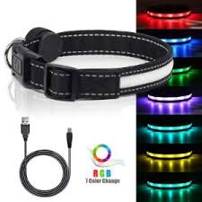 The 25 Best Led Dog Collars Of 2020 Pet Life Today