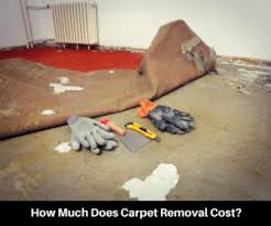 carpet vs laminate comparison guide