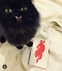 Black cat art, black cat print, cat lover gift, black cat wall art, cat art print, funny cat art, cat poster, black cat illustration, kitty. This Underbite Cat Is Adorable Album On Imgur