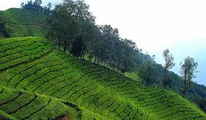 Check the latest kerala weather and climate update during june month of kerala. Best Time To Visit Munnar Is From September To May