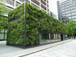 odu green roof vertical wall garden